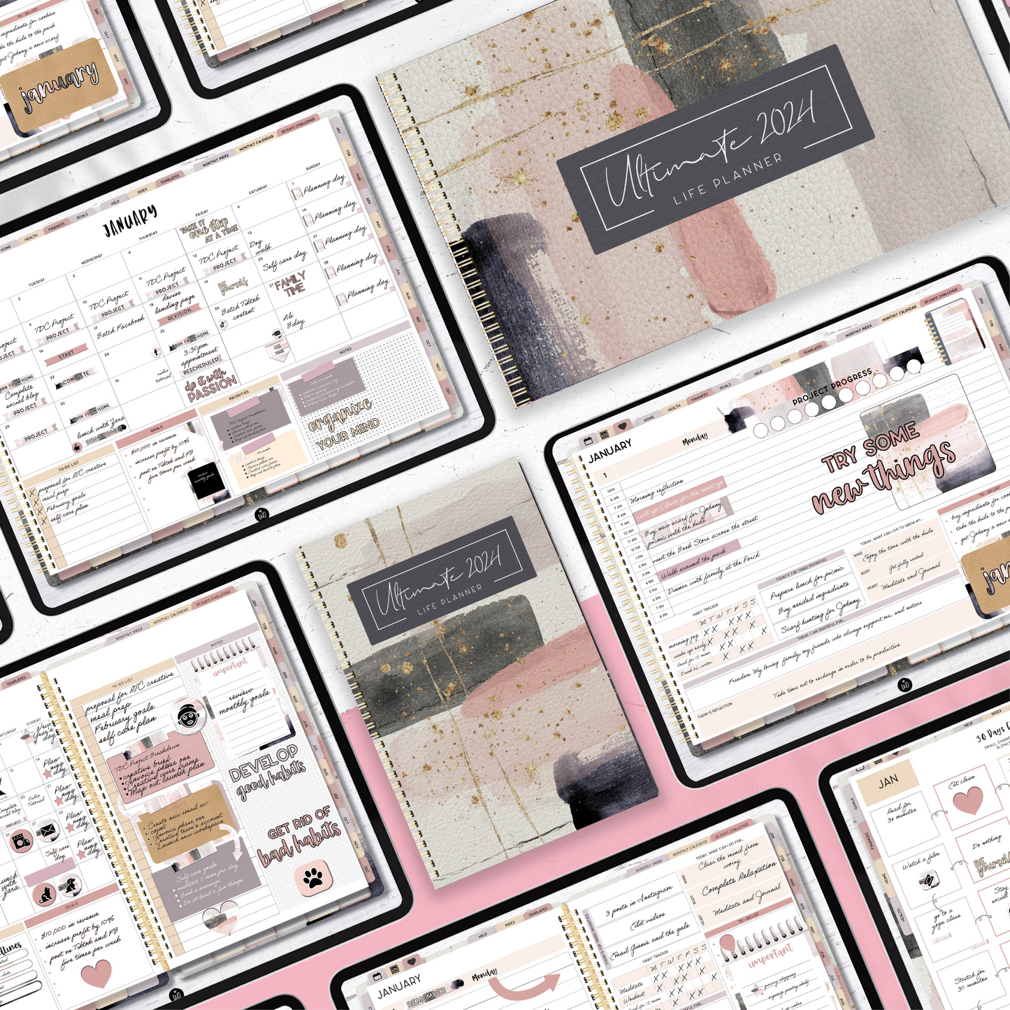 2024 Ultimate Life Planner in Abstract Blush